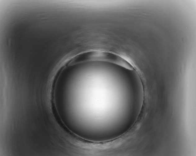 X0000088730007200706071649