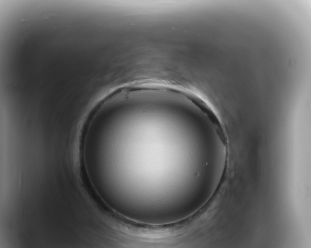 X0000088730008200706071649