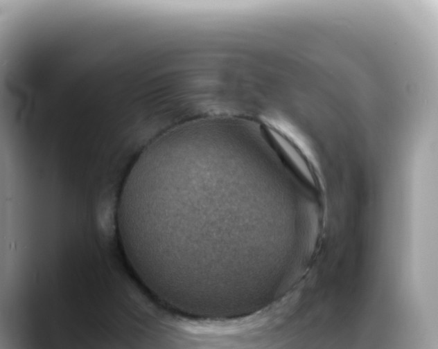 X0000088730009200706071649