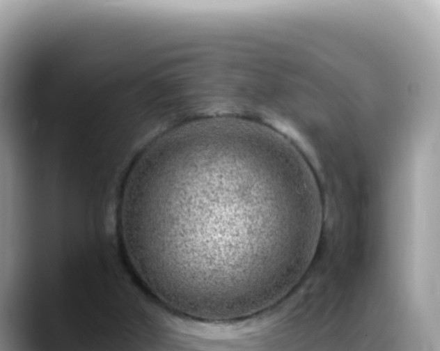 X0000088730010200706071649