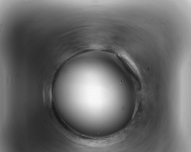 X0000088730011200706071649