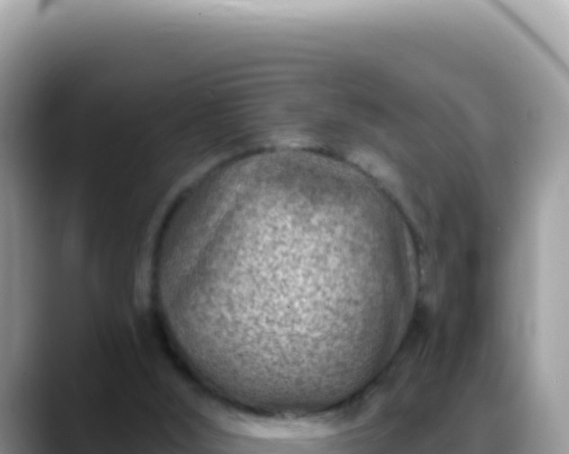 X0000088730012200706071649
