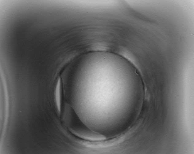 X0000088730013200706071649