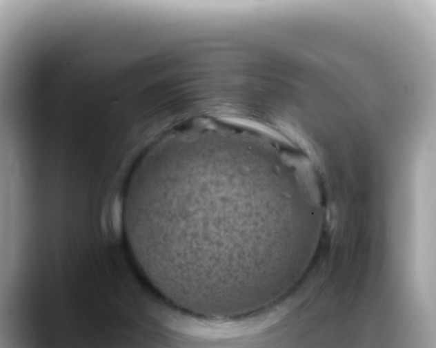 X0000088730014200706071649