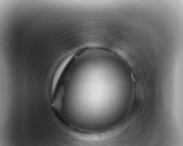 X0000088730015200706071649