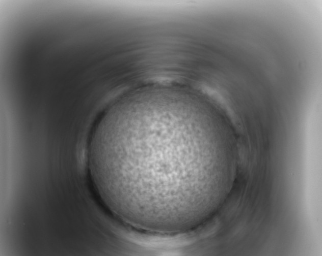 X0000088730016200706071649