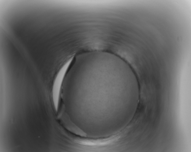 X0000088730017200706071649