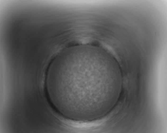 X0000088730018200706071649
