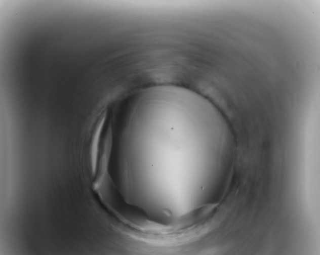 X0000088730019200706071649