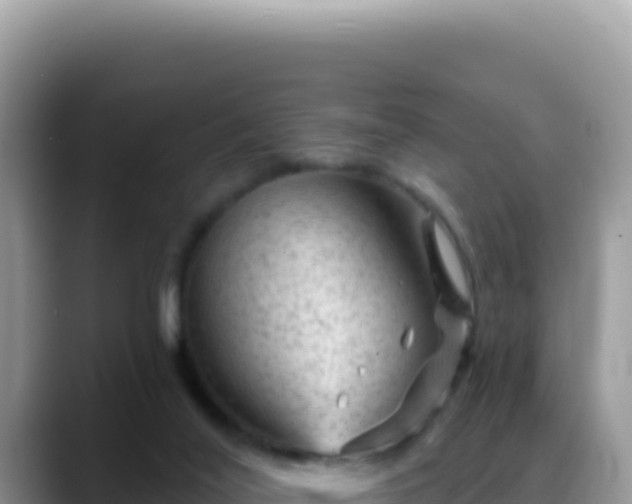 X0000088730020200706071649