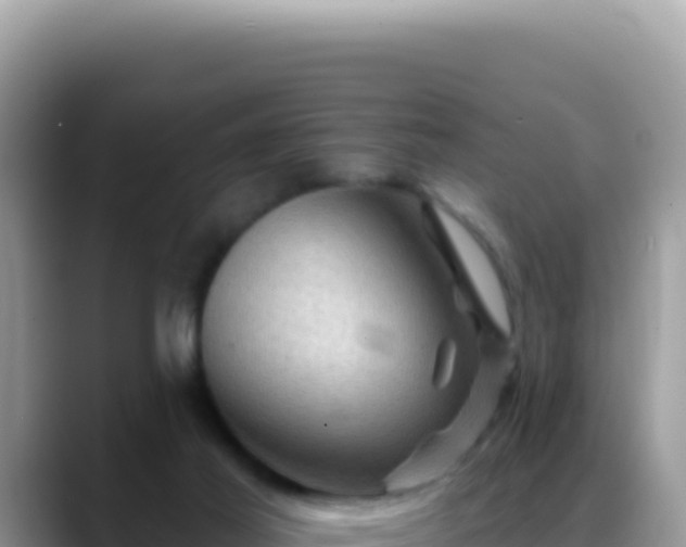 X0000088730021200706071649