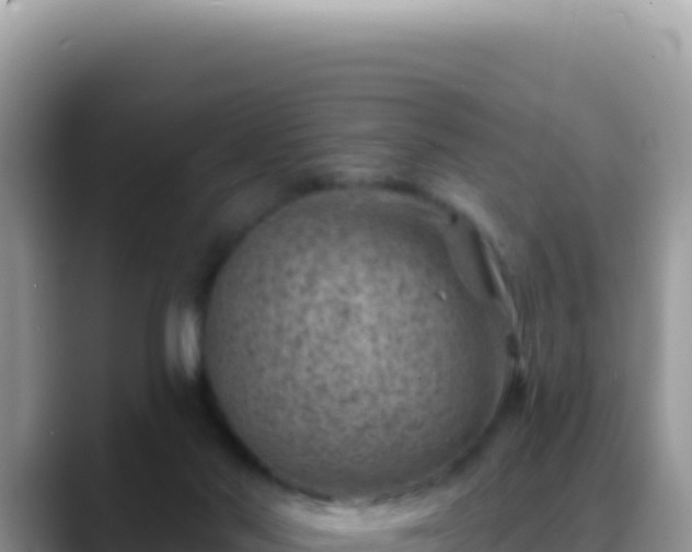 X0000088730022200706071649