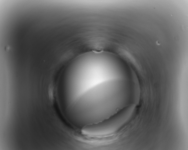 X0000088730023200706071649