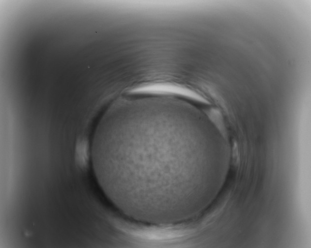 X0000088730024200706071649