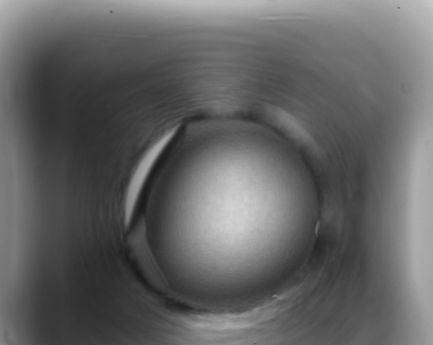 X0000088730025200706071649