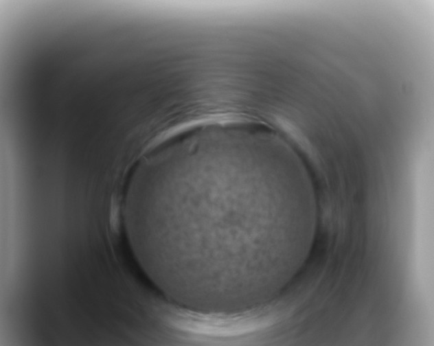 X0000088730026200706071649