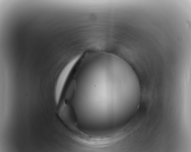 X0000088730027200706071649