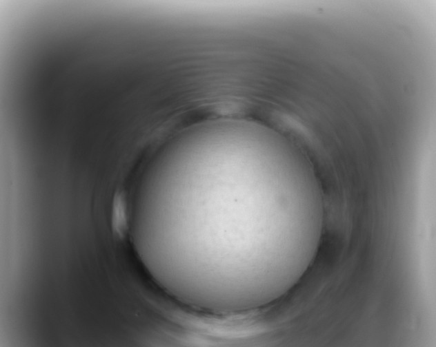 X0000088730028200706071649