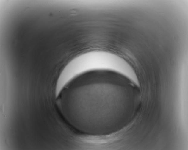 X0000088730029200706071649