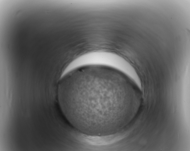 X0000088730030200706071649