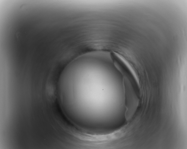 X0000088730031200706071649