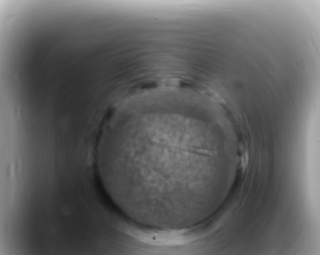 X0000088730032200706071649