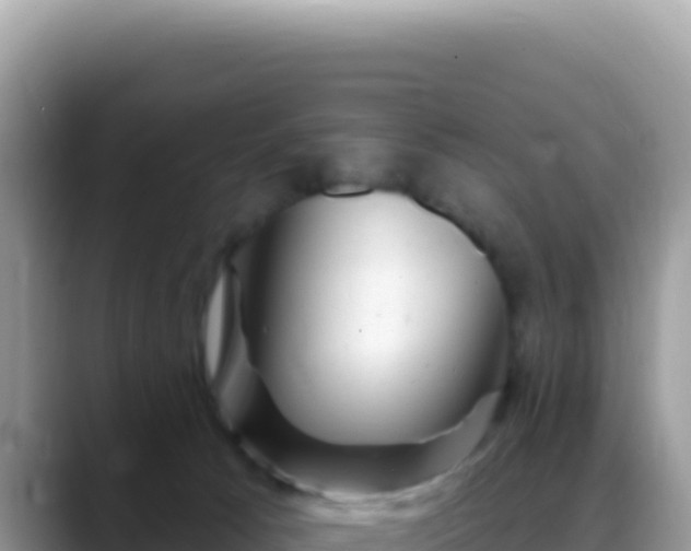 X0000088730033200706071649