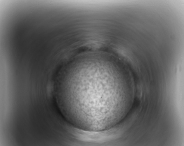 X0000088730034200706071649