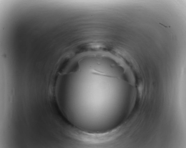 X0000088730035200706071649