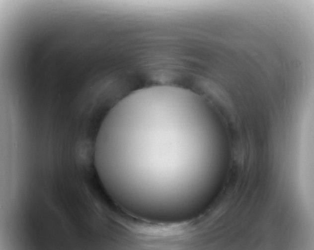X0000088730036200706071649