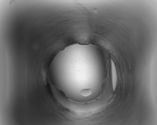 X0000088730037200706071649