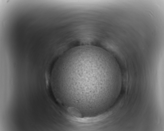 X0000088730038200706071648