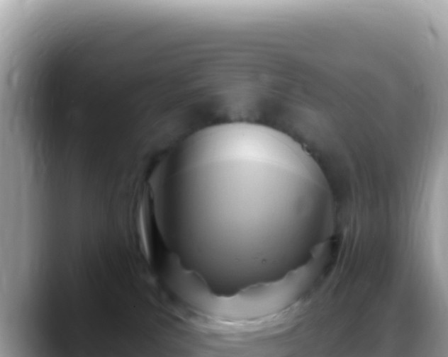 X0000088730039200706071648
