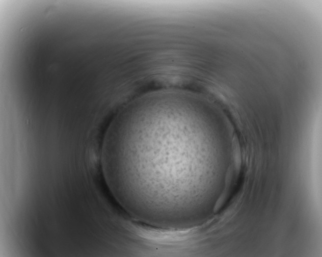 X0000088730040200706071648
