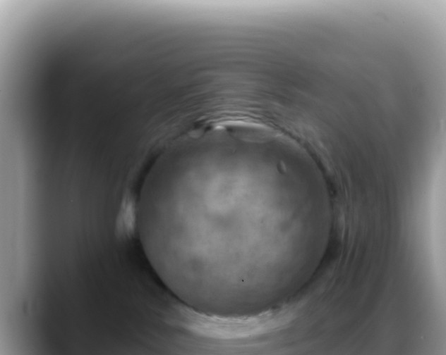 X0000088730042200706071648