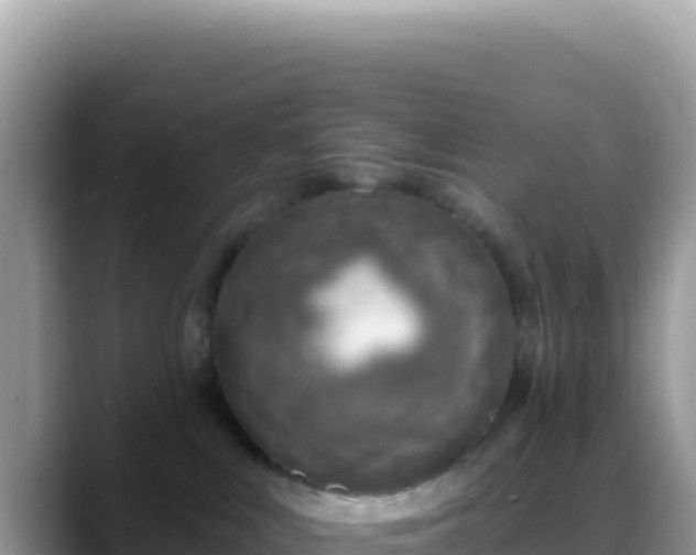 X0000088730043200706071648