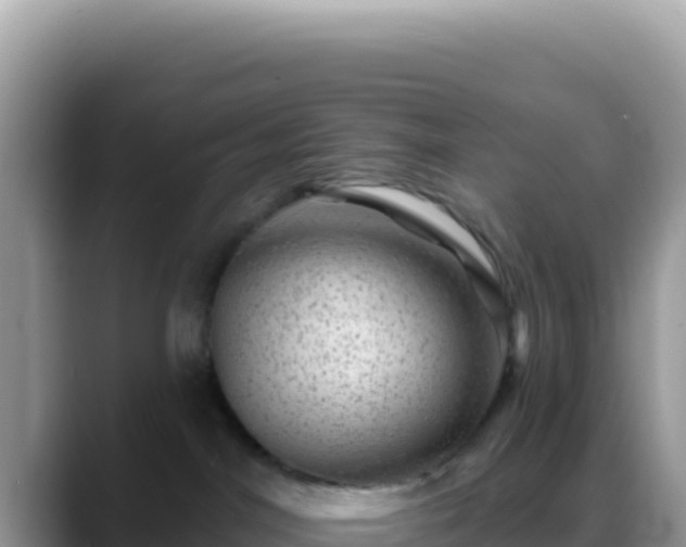 X0000088730044200706071648
