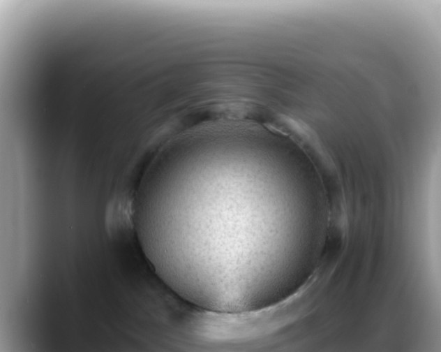 X0000088730045200706071648