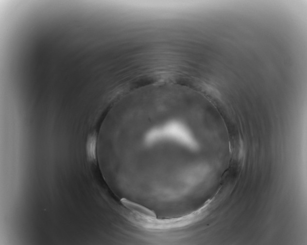 X0000088730047200706071648
