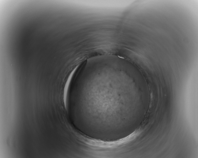 X0000088730048200706071648
