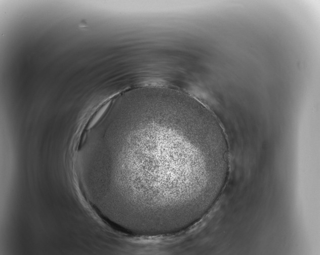 X0000088730049200706071648