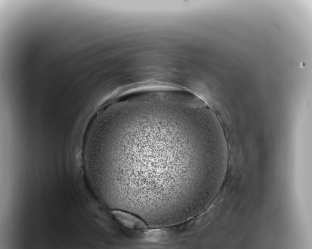 X0000088730050200706071648