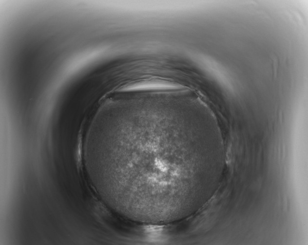 X0000088730052200706071648