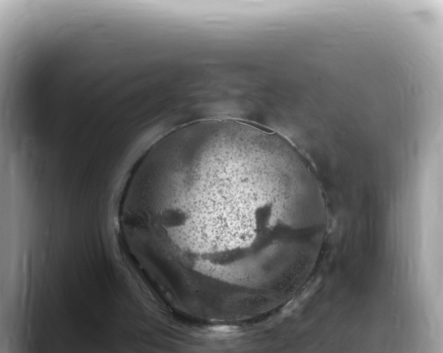X0000088730053200706071648