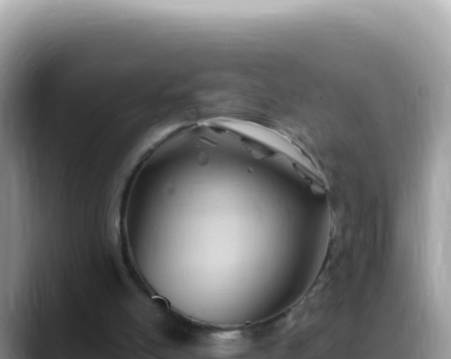 X0000088730054200706071648