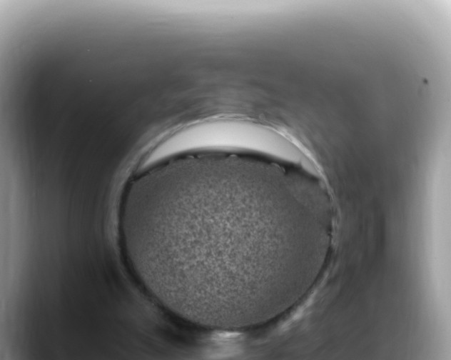 X0000088730055200706071648