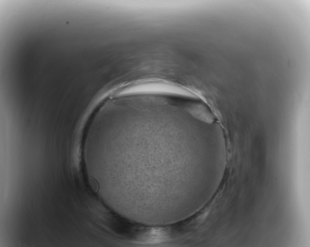 X0000088730056200706071648
