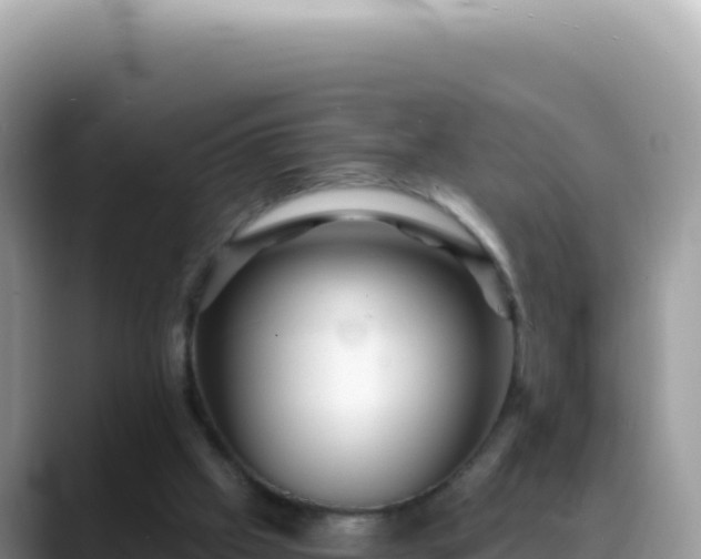 X0000088730057200706071648