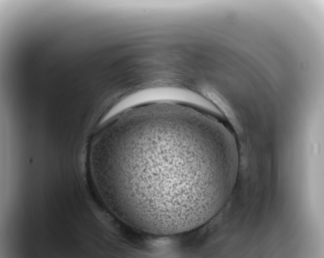 X0000088730058200706071648