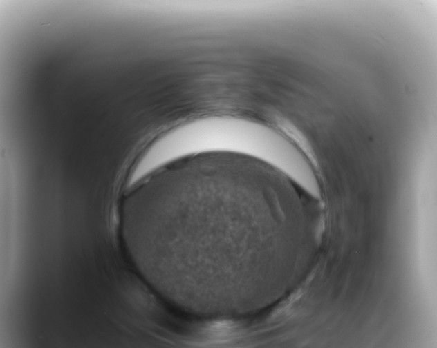 X0000088730059200706071648